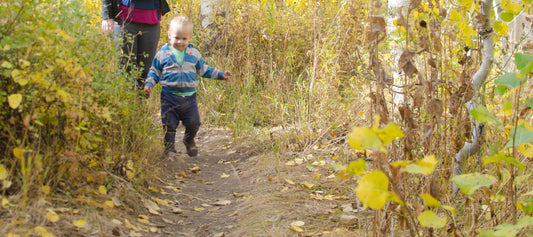 How to Hike with Toddlers—And Actually Enjoy it